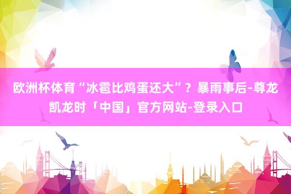 欧洲杯体育“冰雹比鸡蛋还大”？暴雨事后-尊龙凯龙时「中国」官方网站-登录入口