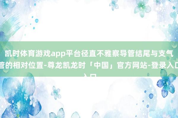 凯时体育游戏app平台径直不雅察导管结尾与支气管的相对位置-尊龙凯龙时「中国」官方网站-登录入口