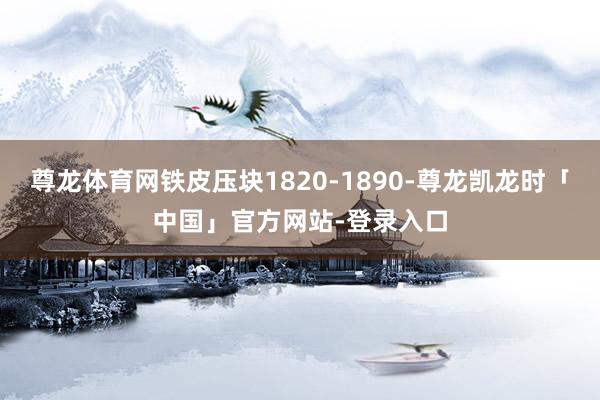 尊龙体育网铁皮压块1820-1890-尊龙凯龙时「中国」官方网站-登录入口