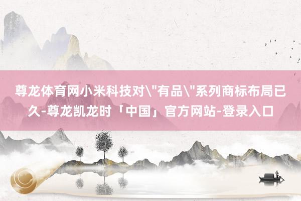 尊龙体育网小米科技对